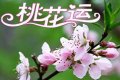 Ԥһ˻Ӱ쵽ҵ