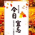 923˼ɣﲻǿȢ