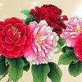 ʺϹʲôķˮ