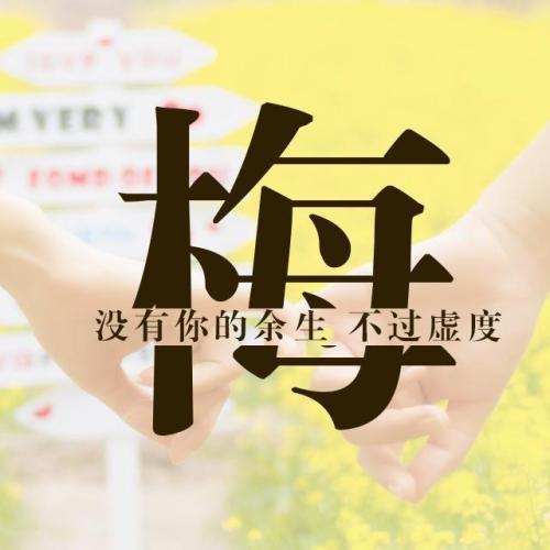 梅姓女孩起名大全