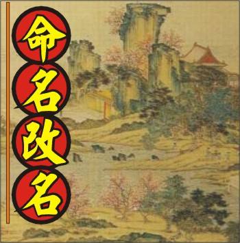 成人改名相关事项