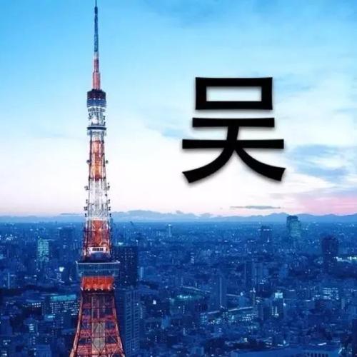 吴姓宝宝起名大全